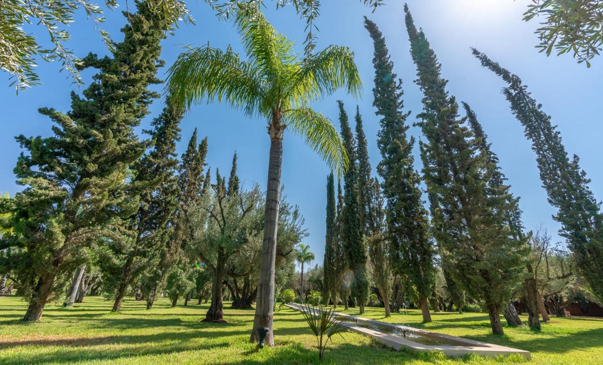 Bed and Breakfast Palais Hassoun Marrakech Oulad Snaguia Zewnętrze zdjęcie