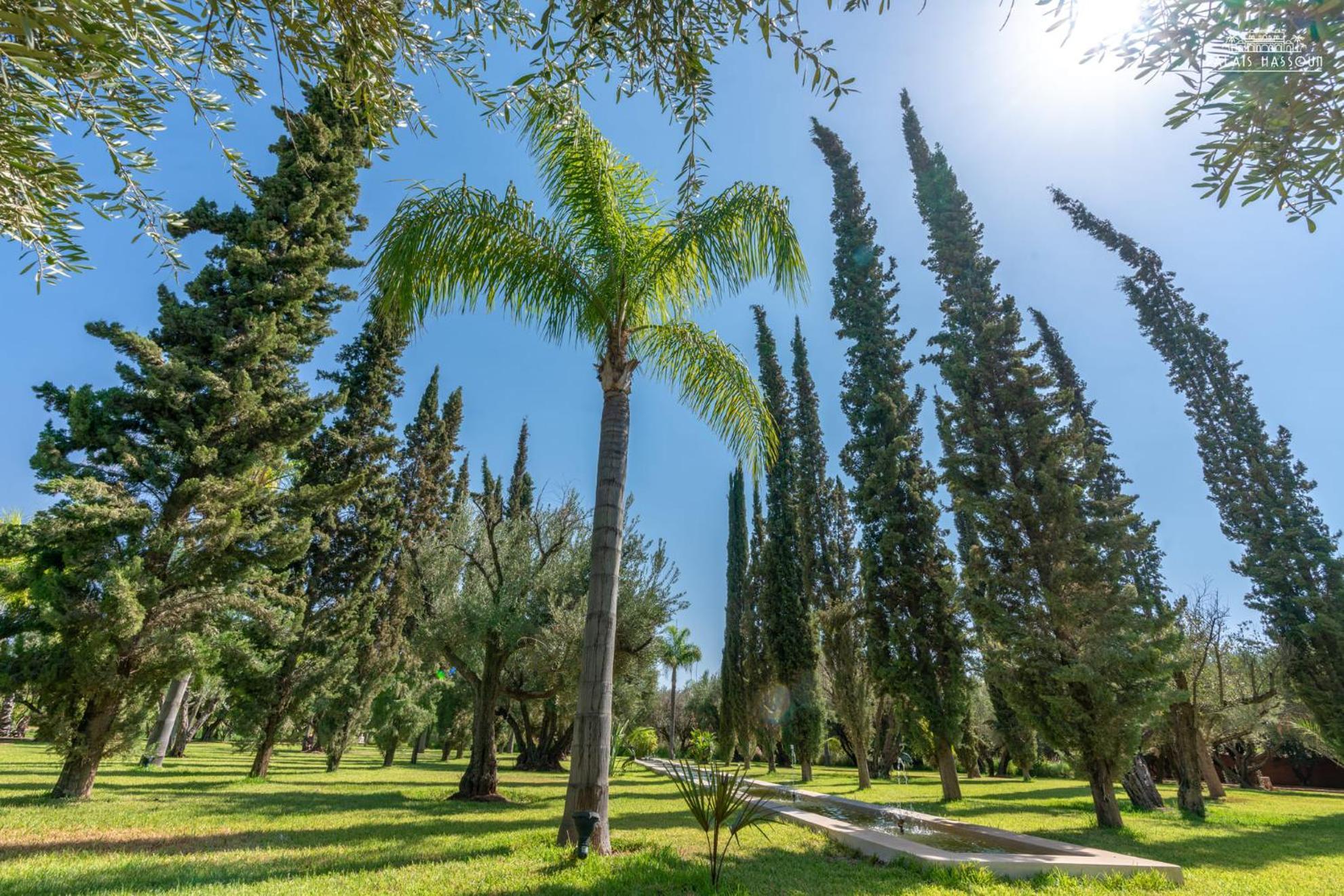 Bed and Breakfast Palais Hassoun Marrakech Oulad Snaguia Zewnętrze zdjęcie